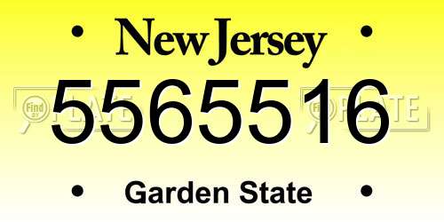 5565516 New Jersey License Plate