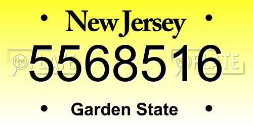 5568516 New Jersey License Plate