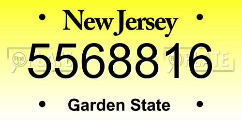 5568816 New Jersey License Plate
