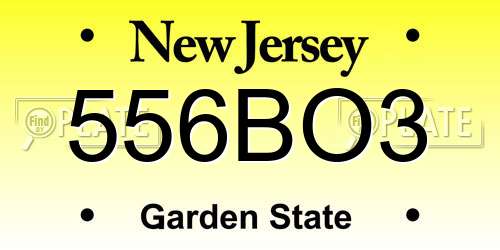 556BO3 New Jersey License Plate