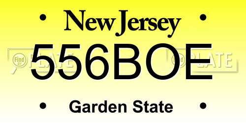 556BOE New Jersey License Plate