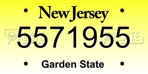 5571955 New Jersey License Plate