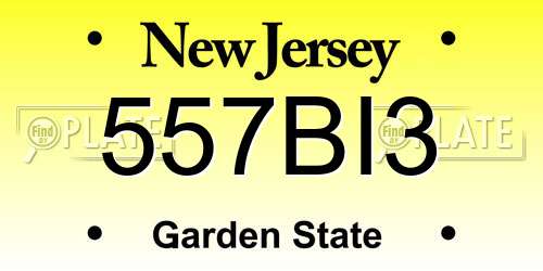 557BI3 New Jersey License Plate