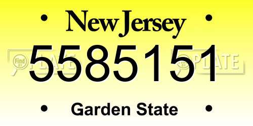 5585151 New Jersey License Plate
