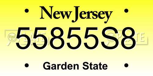 55855S8 New Jersey License Plate