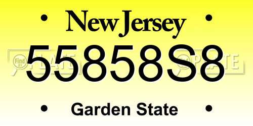 55858S8 New Jersey License Plate