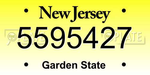 5595427 New Jersey License Plate