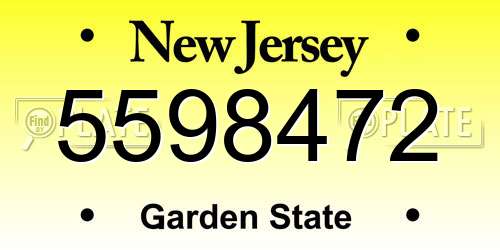 5598472 New Jersey License Plate