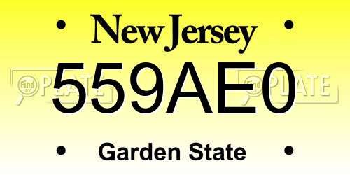 559AE0 New Jersey License Plate