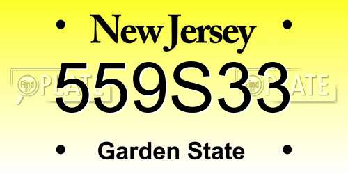 559S33 New Jersey License Plate