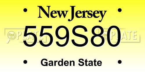 559S80 New Jersey License Plate