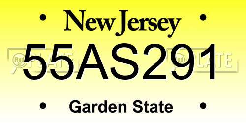 55AS291 New Jersey License Plate