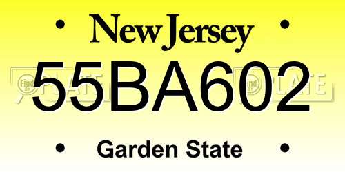 55BA602 New Jersey License Plate