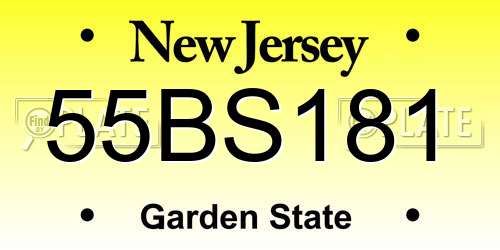 55BS181 New Jersey License Plate