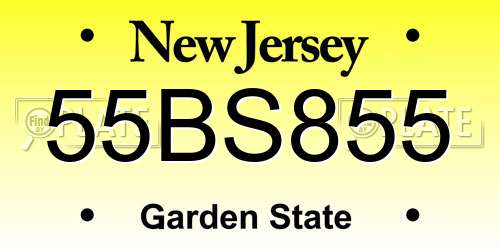 55BS855 New Jersey License Plate