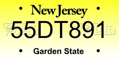 55DT891 New Jersey License Plate