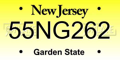 55NG262 New Jersey License Plate