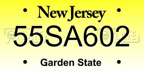 55SA602 New Jersey License Plate