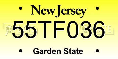 55TF036 New Jersey License Plate