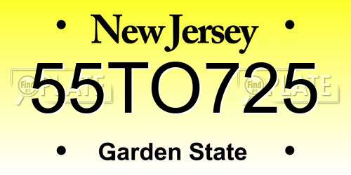 55TO725 New Jersey License Plate