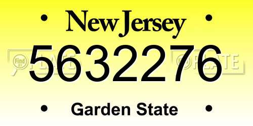 5632276 New Jersey License Plate