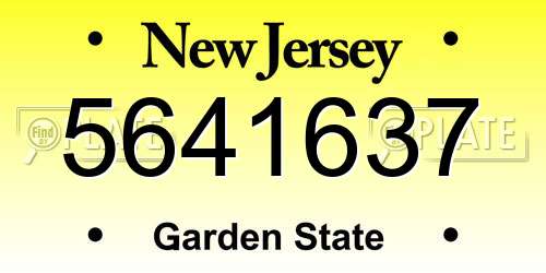 5641637 New Jersey License Plate