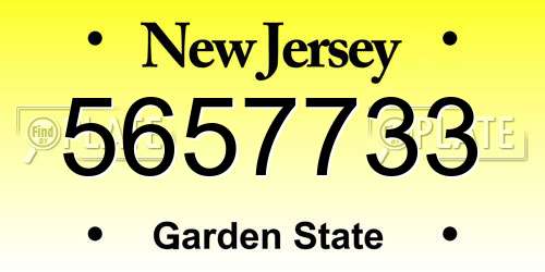 5657733 New Jersey License Plate