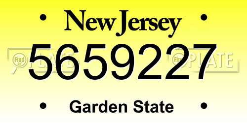 5659227 New Jersey License Plate