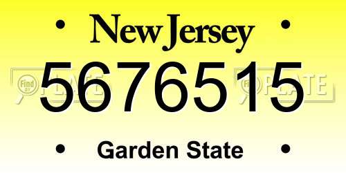 5676515 New Jersey License Plate