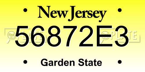 56872E3 New Jersey License Plate