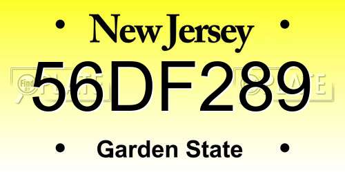 56DF289 New Jersey License Plate