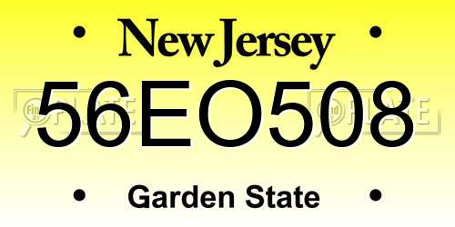 56EO508 New Jersey License Plate