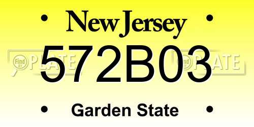 572B03 New Jersey License Plate