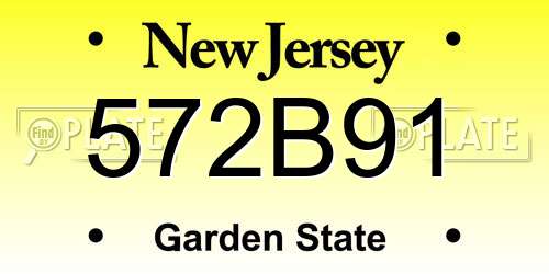 572B91 New Jersey License Plate