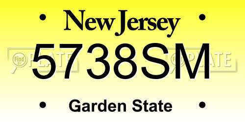 5738SM New Jersey License Plate