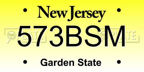 573BSM New Jersey License Plate