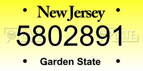 5802891 New Jersey License Plate