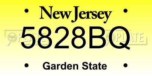5828BQ New Jersey License Plate