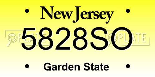 5828SO New Jersey License Plate