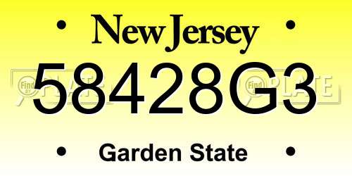 58428G3 New Jersey License Plate