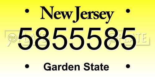 5855585 New Jersey License Plate