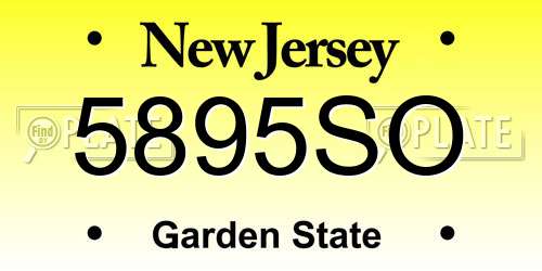 5895SO New Jersey License Plate