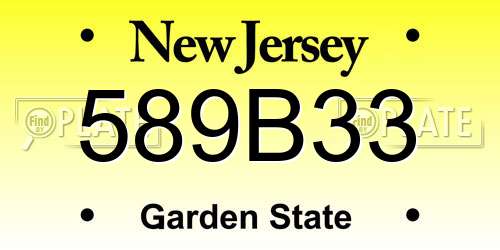 589B33 New Jersey License Plate