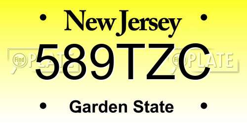 589TZC New Jersey License Plate