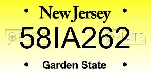 58IA262 New Jersey License Plate