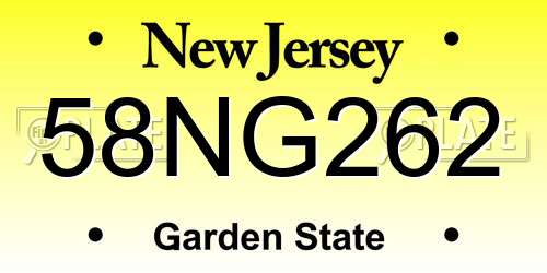 58NG262 New Jersey License Plate