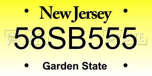 58SB555 New Jersey License Plate