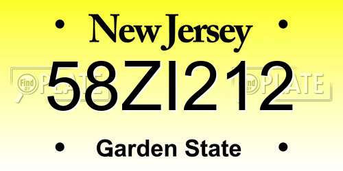 58ZI212 New Jersey License Plate