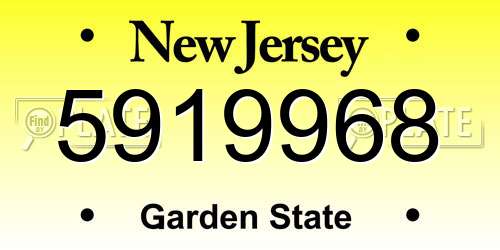 5919968 New Jersey License Plate