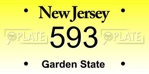 593 New Jersey License Plate